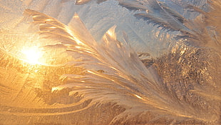 close up photo of white abstract artwork HD wallpaper