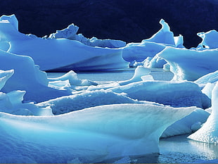 iceberg wallpaper, ice, iceberg, Antarctica, cold HD wallpaper