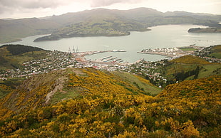 aerial view of a city beside body of water and mountains