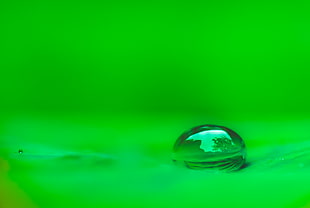 photo of water dew against green background, lotus leaf