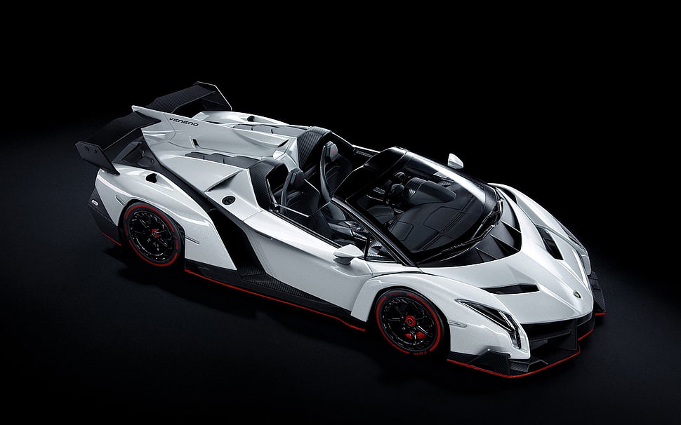 white and black convertible, Lamborghini Veneno Roadster, Lamborghini, car, luxury cars HD wallpaper