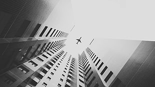 silhouette plane, airplane, building, monochrome