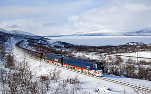 blue and white train, train, freight train, electric locomotives, winter