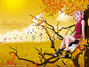 Naruto Sakura HD wallpaper