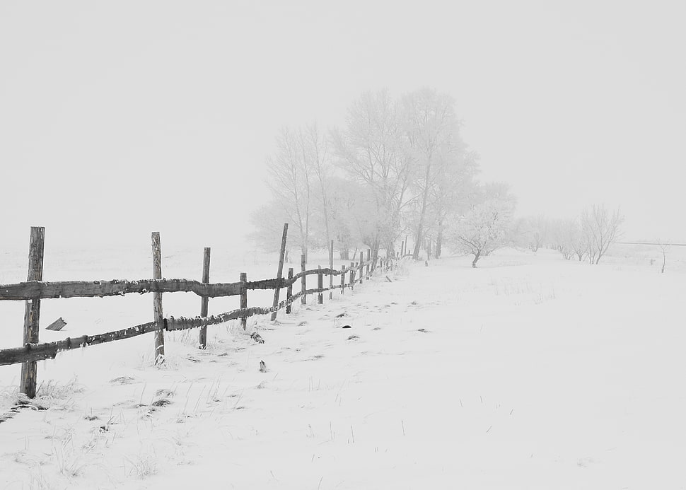 wooden fence covered in snow during daytime HD wallpaper
