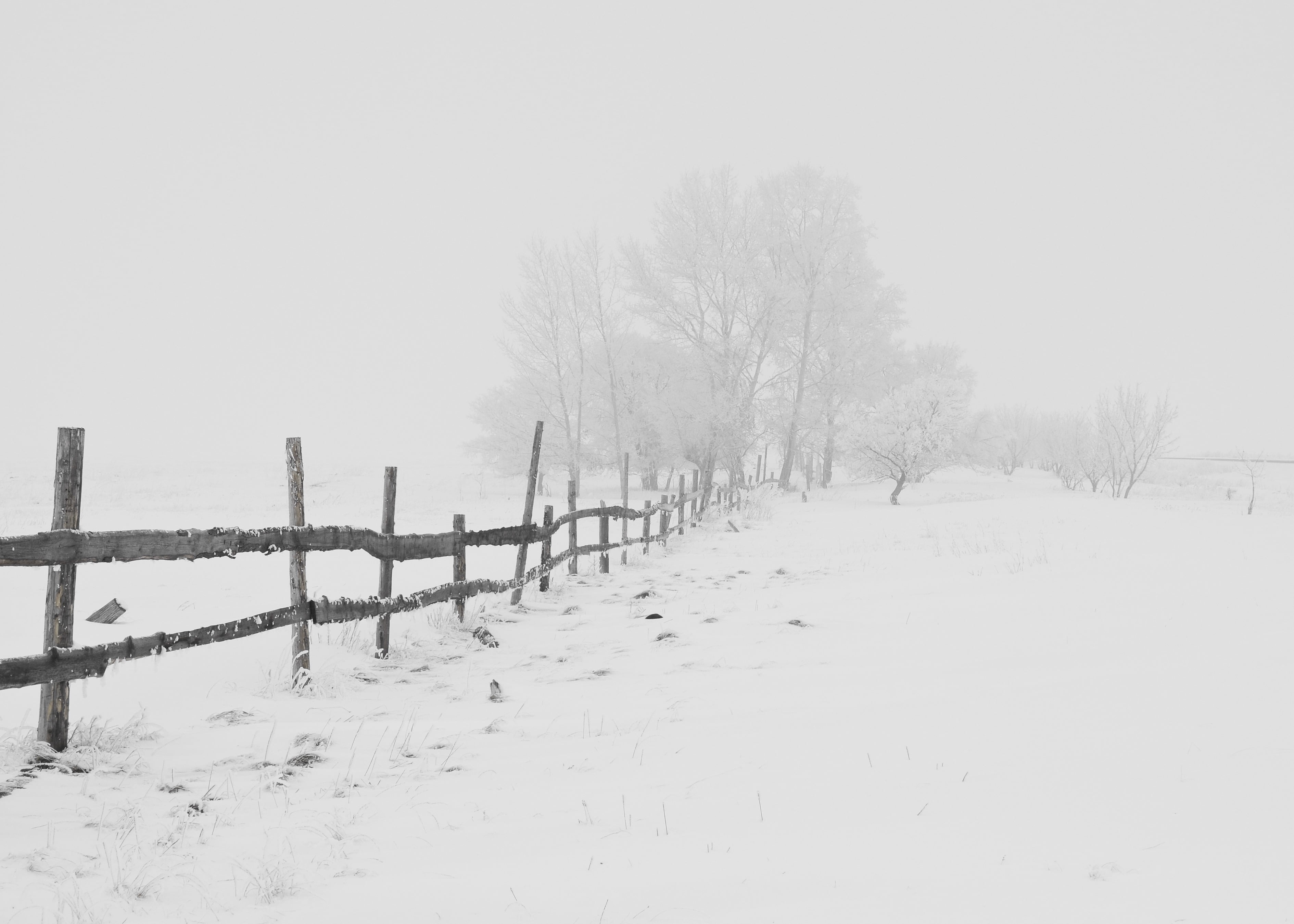 wooden fence covered in snow during daytime