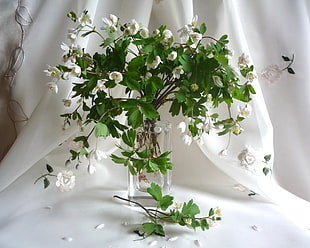 white petaled flower arrangement with white textile as background
