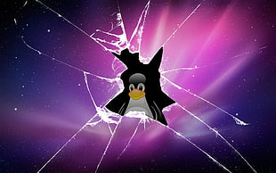 black and white penguin graphic illustration, Linux, computer, Tux
