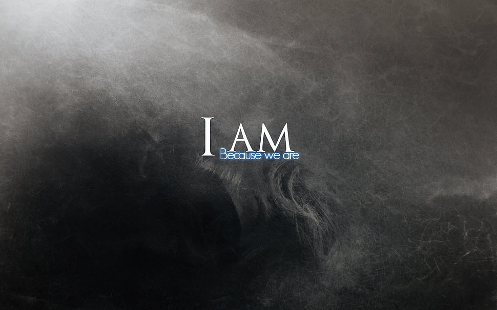 I Am Because we are digital wallpaper HD wallpaper