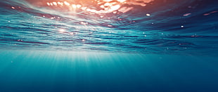 underwater photography, ultra-wide, photography, nature HD wallpaper