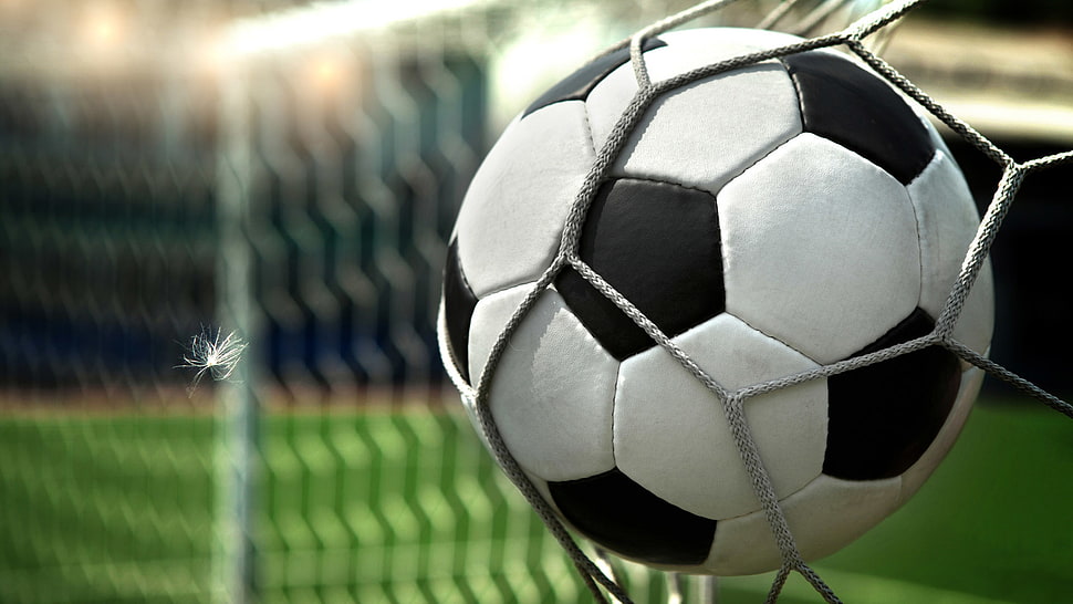 soccer ball can't pass through goalie net HD wallpaper