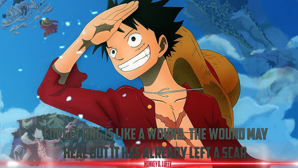 Monkey D. Luffy, Monkey D. Luffy, One Piece HD wallpaper