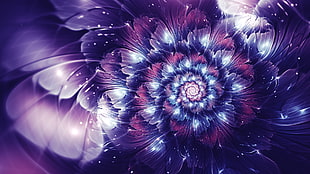 purple and pink petaled flower artwork, abstract, fractal, fractal flowers, glowing