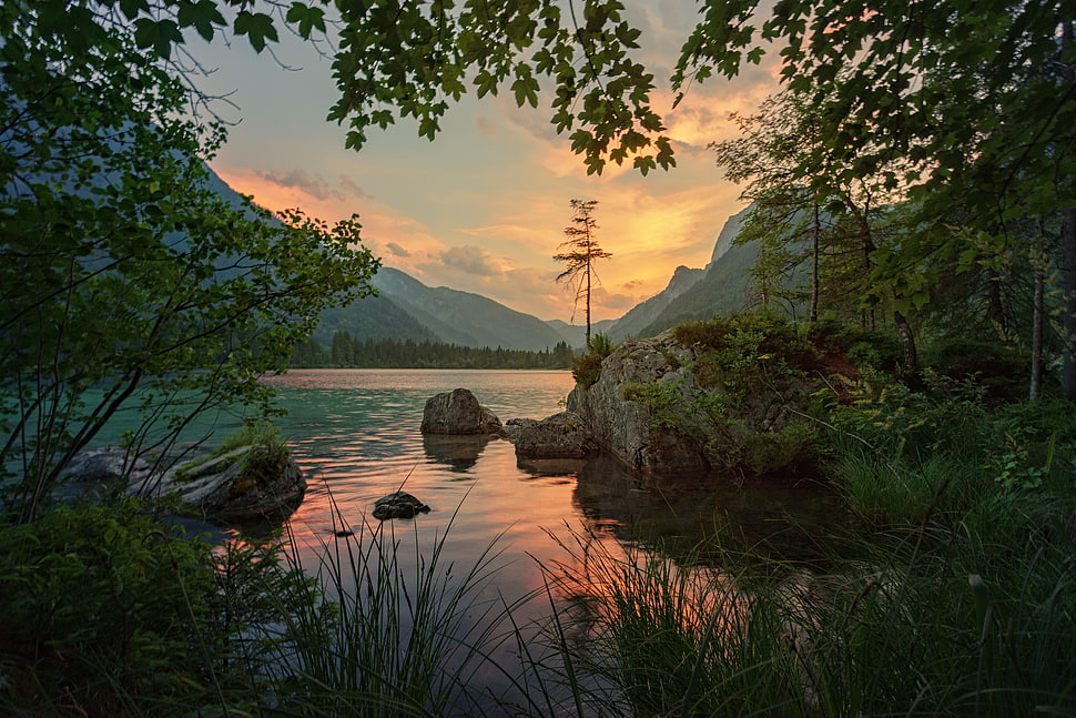 green leaf trees, Mountains, River, Trees HD wallpaper