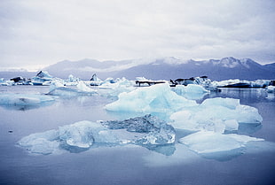 scenery of ice on water HD wallpaper