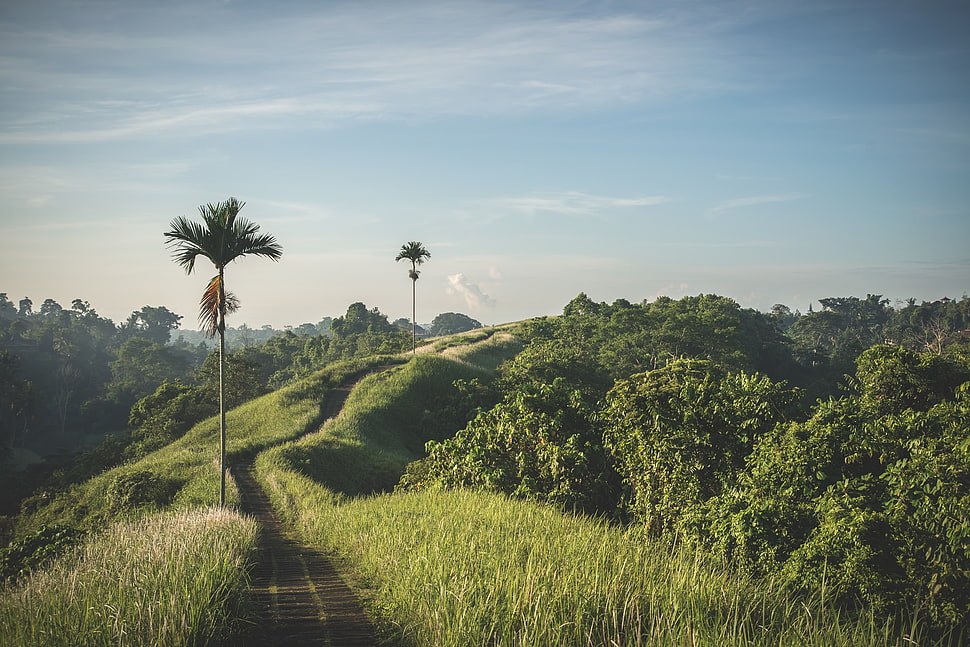 road on mountain HD wallpaper