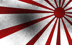 white, red, and black area rug, Japan, Sun, red, flag HD wallpaper