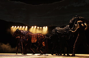 group of people performing dragon dance HD wallpaper