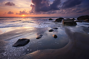 seashore during golden hour, tongaporutu HD wallpaper