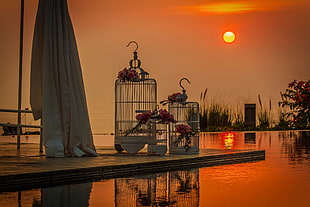 pet cage near body of water during golden time photography HD wallpaper