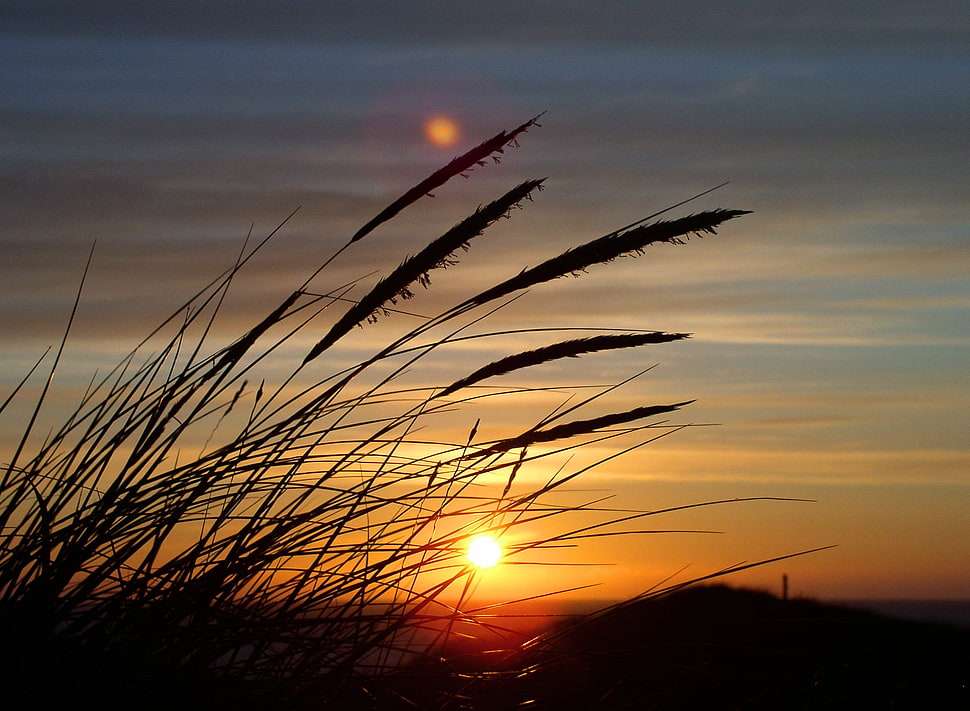 sunset photography HD wallpaper
