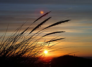 sunset photography HD wallpaper
