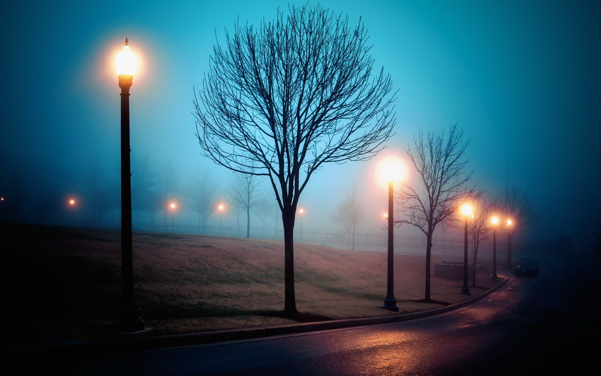 Вечер свет фонаря. Фонарь ночью. Вечерние фонари. Улица деревья ночь. Ночные фонари.