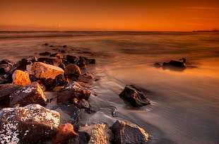 panoramic photo of stones beside ocean painting