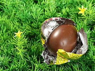 chocolate covered with gray and yellow wrapper on green grass