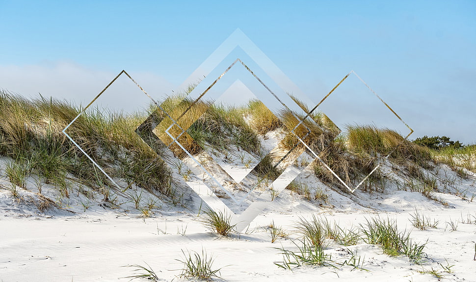 green grass, polyscape, beach, snow HD wallpaper