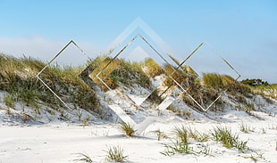 green grass, polyscape, beach, snow