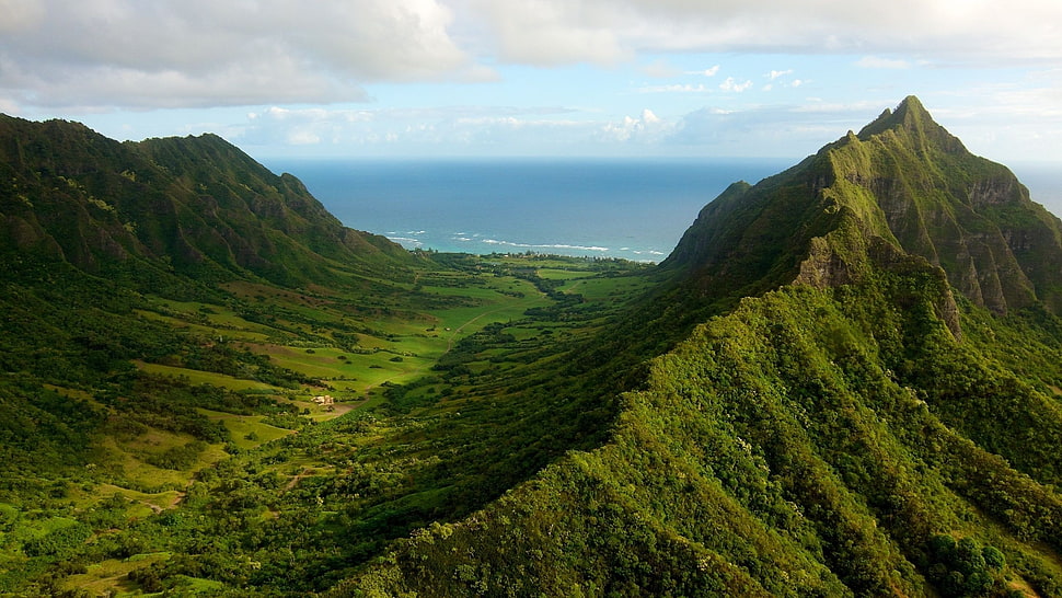 green mountain HD wallpaper