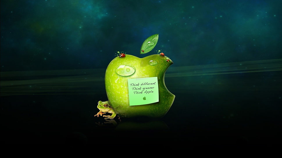 green Apple logo, green, apples HD wallpaper