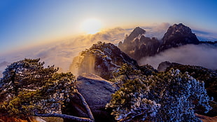 mountains covered with fogs at daytime, nature, mountains, clouds