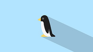black and white penguin illustration