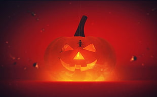 Halloween,  Holiday,  Pumpkin,  Spider HD wallpaper