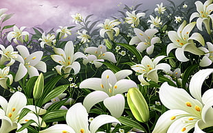 still-life painting of Easter Lily flowers