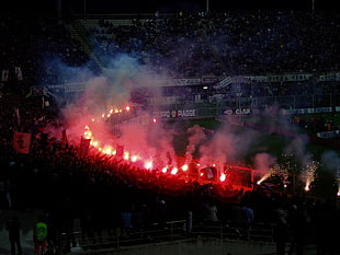 sport stadium, supporters, fans, crowds, Pyro (character) HD wallpaper