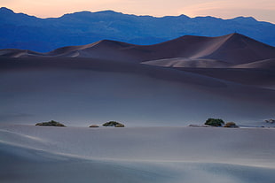 landscape photography of desert under blue cloud