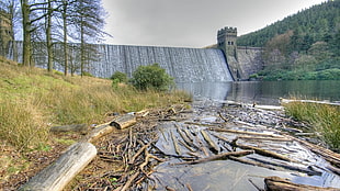 gray dam waterways, nature, water, wood
