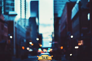 Taxi text, Taxi, Town, Inscription HD wallpaper