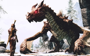 person standing in front dragon video game, fantasy art, dragon, warrior, The Elder Scrolls V: Skyrim