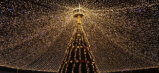 beige string lights, Christmas tree, Garland, Light