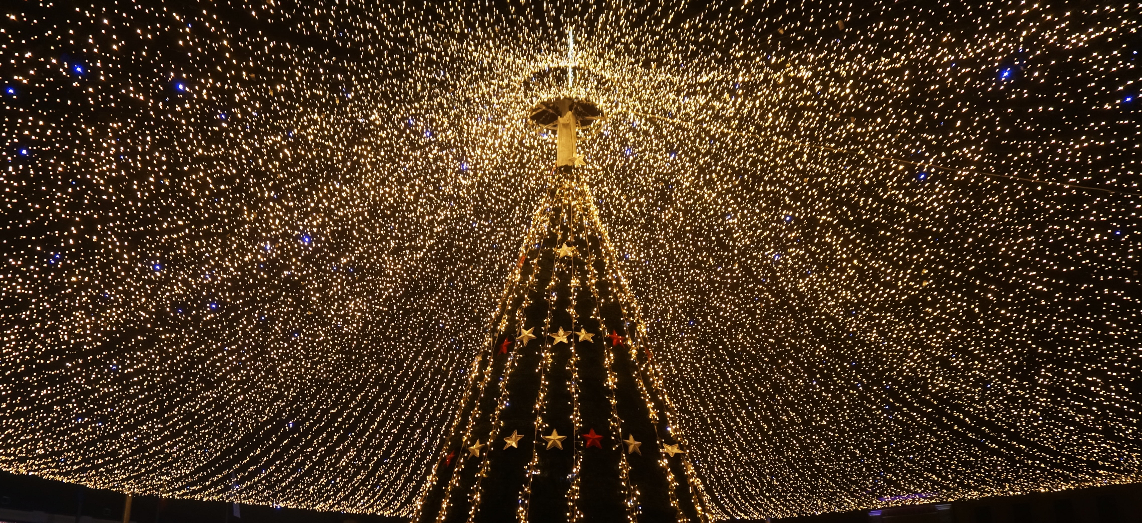 beige string lights, Christmas tree, Garland, Light