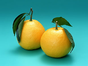 two Oranges with green leaves