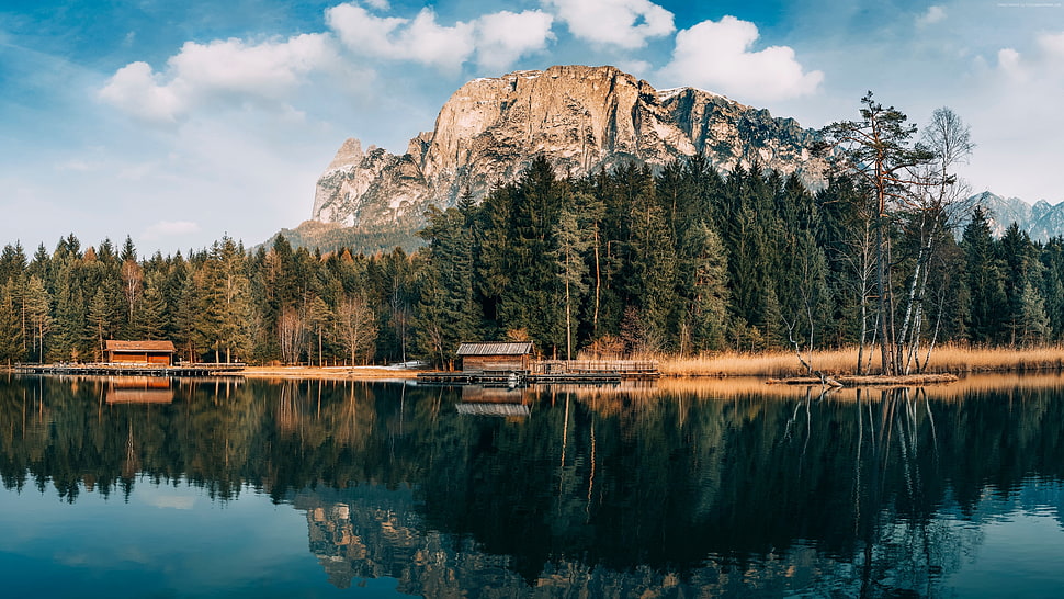 nature, clouds, trees, lake HD wallpaper