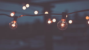 shallow focus photography of string bulb lights during night time