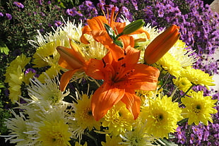 orange lily flower beside yellow petaled flower photo