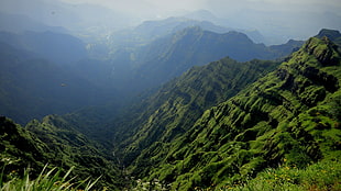 green valley, landscape, nature, mountains HD wallpaper