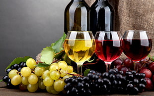 three wine glasses, wine, grapes, drink, alcohol HD wallpaper
